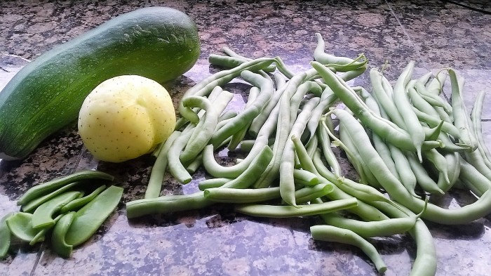 Zucchini, Lemon Cucumber, Lima bean pods and French beans